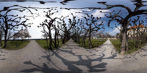 Lindengang im Schloßpark Dachau